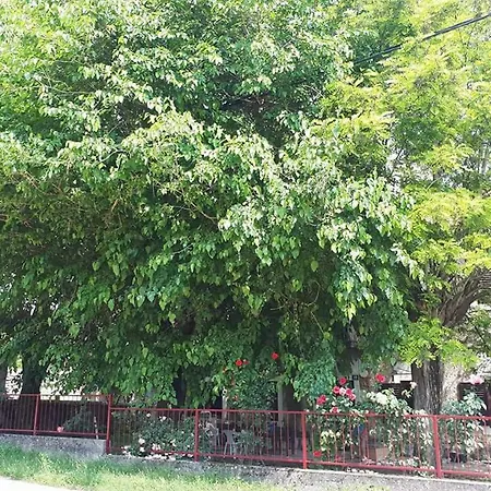 Apartman Dujo * Siveric