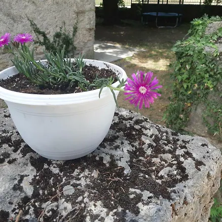Casa vacanze Apartman Dujo